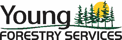 Young Forestry Services